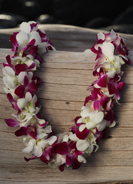 double pink and white orchid lei